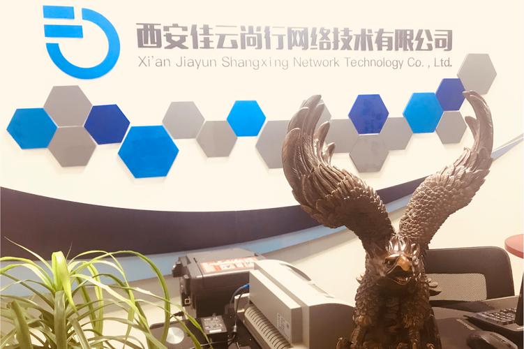 付卫涛,公司经营范围包括:计算机网络科技领域内的技术开发